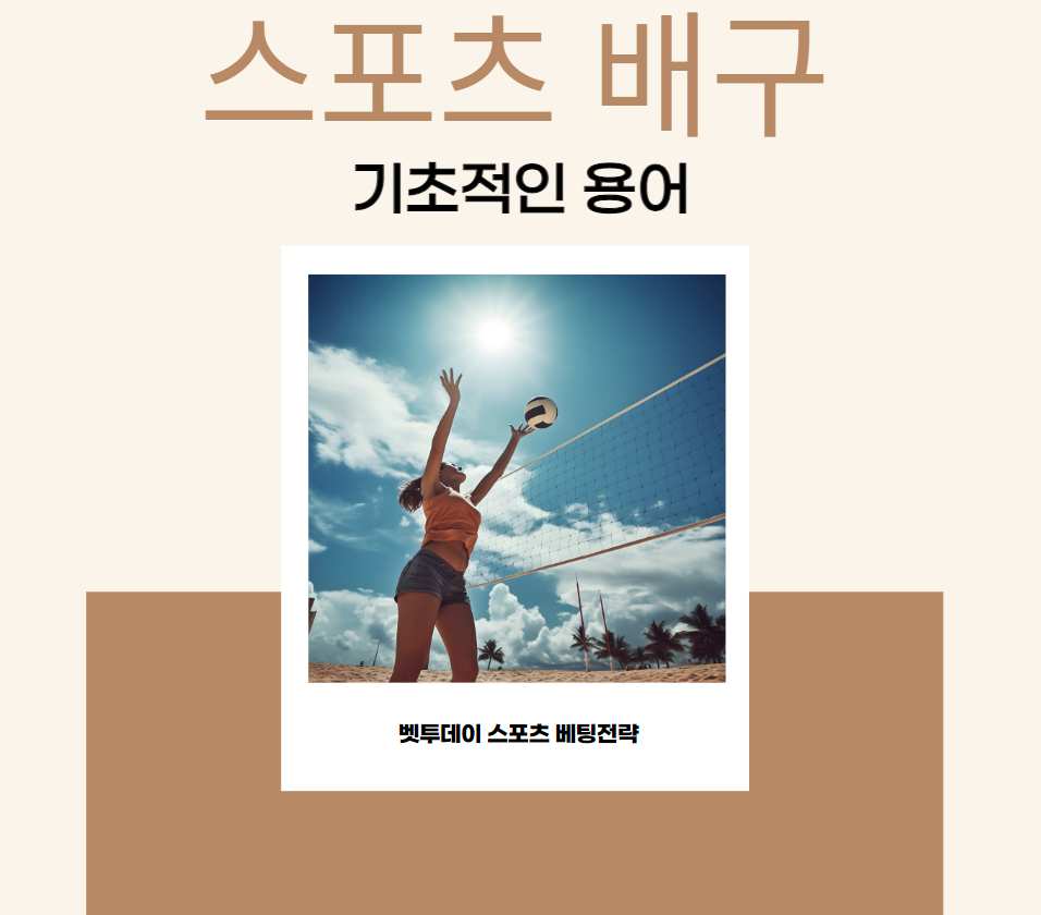 스포츠 배구, 기본적인 용어에 대해 알아보자