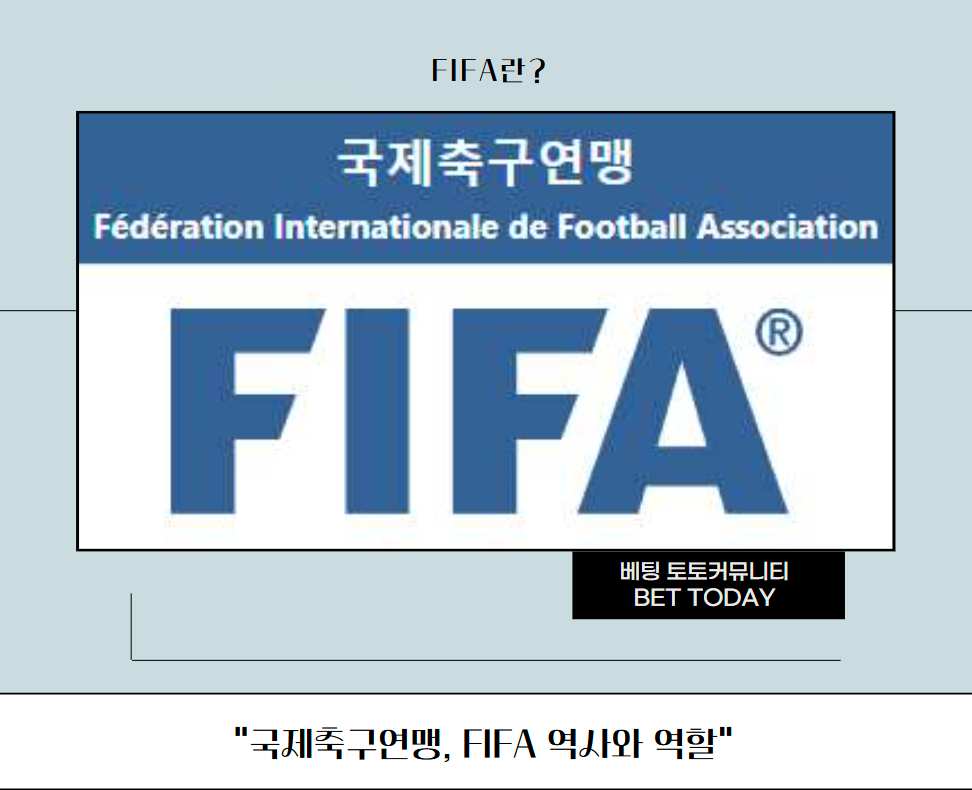 국제축구연맹, FIFA 역사와 역할